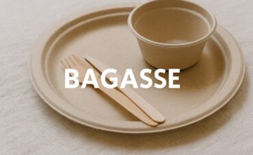 Bagasse