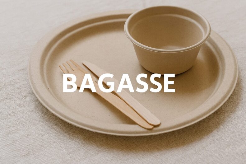 Bagasse