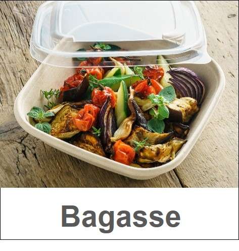 Bagasse